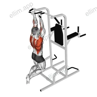 Supinated Narrow Grip Pull-up exercise targeting Back