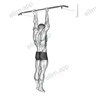 Supination Bar Suspension Stretch exercise targeting Upper Arms