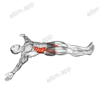 Supine Spinal Twist Yoga Pose exercise targeting Hips and Erector Spinae