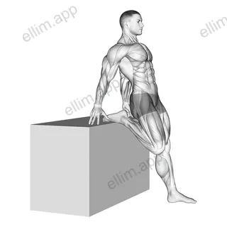 Supported One Leg Standing Hip Flexor And Knee Extensor Stretch exercise targeting Thighs