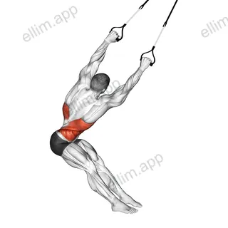 Suspender Lat Stretch exercise targeting Back