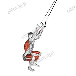Suspender Squat Jump exercise targeting Thighs