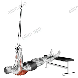 Suspender Weighted Inverted Row exercise targeting Back