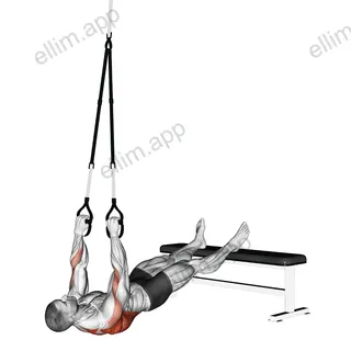 Suspender Wide Grip Inverted Row exercise targeting Back and Infraspinatus