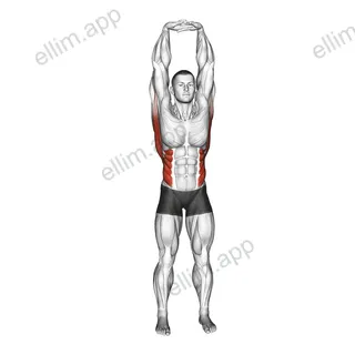 Swaying Palm Tree Yoga Pose exercise targeting Stretching