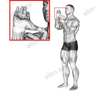 Thumb Stretch exercise targeting Forearms