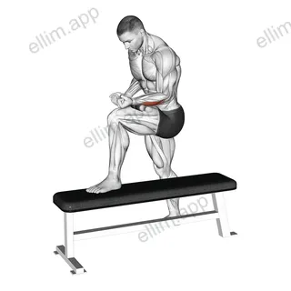 Tiger Tail Forearm exercise targeting Forearms