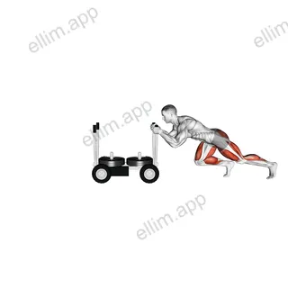 Torque Tank Push exercise targeting Thighs