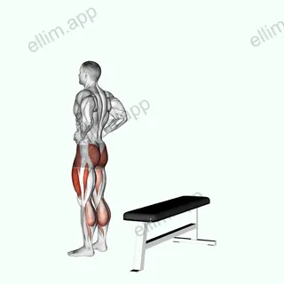Transverse Step Up exercise targeting Thighs