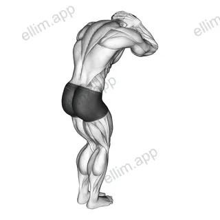 Trap and Neck Stretch exercise targeting Back