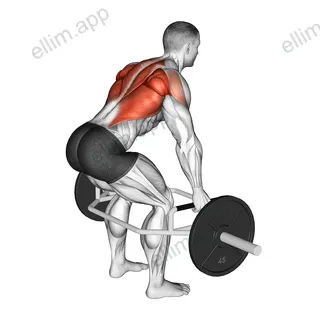 Trap Bar Bent Over Row exercise targeting Back and Infraspinatus