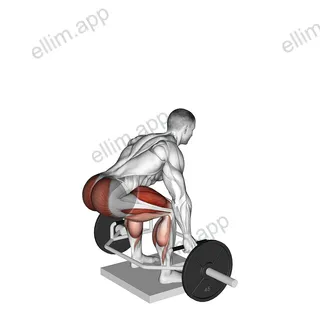 Trap Bar Deadlift from Deficit exercise targeting Hips