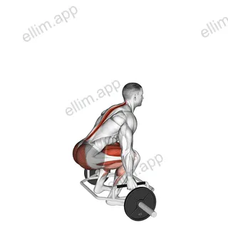 Trap Bar Deadlift exercise targeting Thighs and Gluteus Maximus