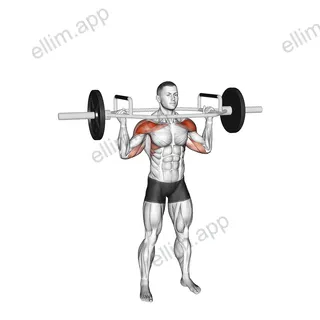Trap Bar Overhead Press exercise targeting Shoulders and Deltoid Anterior