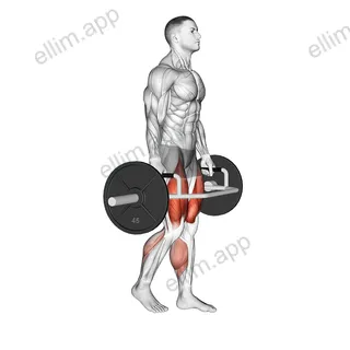 Trap Bar Split Stance RDL exercise targeting Hips and Gluteus Maximus