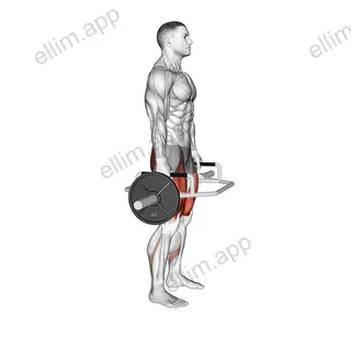 Trap Bar Squat exercise targeting Thighs