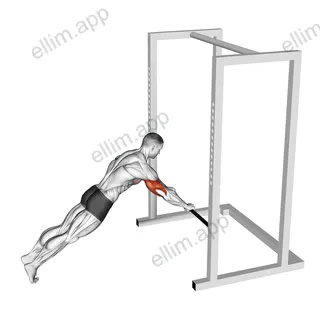 Triceps Press (low bar position) exercise targeting Upper Arms