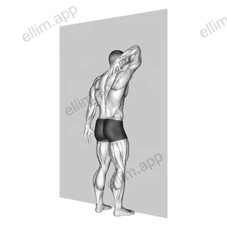 Triceps Stretch Against Wall exercise targeting Upper Arms