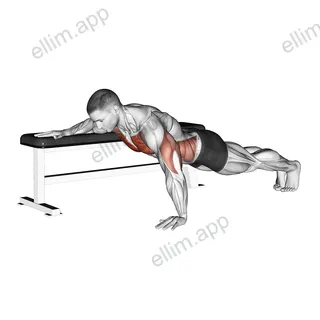Twist Push-up exercise targeting Chest and Pectoralis Major Clavicular Head
