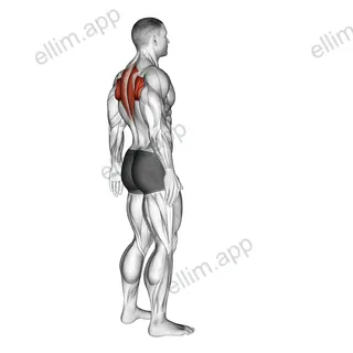 Upper Back Stretch exercise targeting Back and Infraspinatus