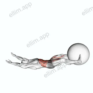 V-Up Down (with Stability ball) exercise targeting Waist