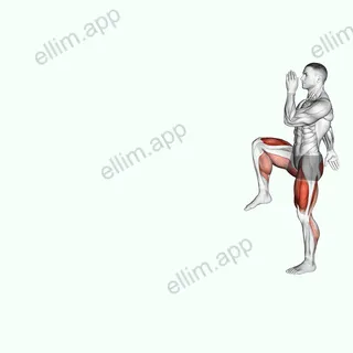 Walking High Knees Lunge exercise targeting Cardio