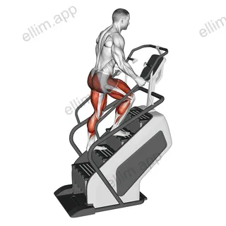 Walking on Stepmill exercise targeting Thighs and Adductor Magnus