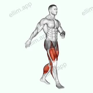 Walking exercise targeting Cardio and Adductor Magnus
