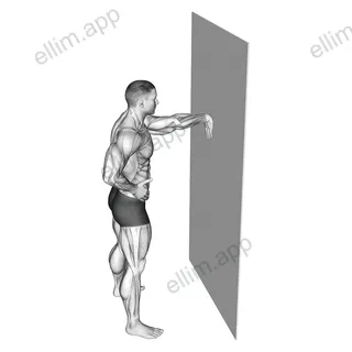 Wall Flexors Stretch exercise targeting Forearms