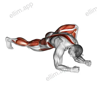Warming-up in Lunge (six) exercise targeting Hips and Thighs