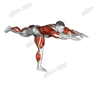 Warrior Pose exercise targeting Back and Hips