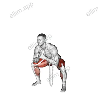 Weighted Chain Sumo Deadlift exercise targeting Hips