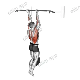 Weighted Chin-Up exercise targeting Back and Infraspinatus