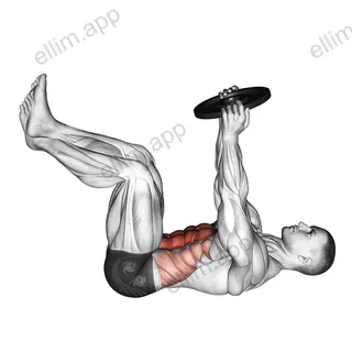 Weighted Crunch exercise targeting Waist and Rectus Abdominis