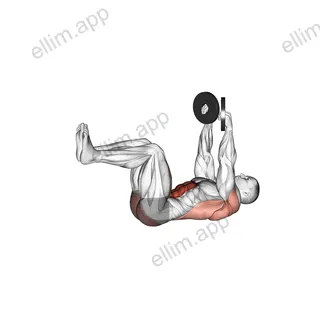 Weighted Dead Bug exercise targeting Waist