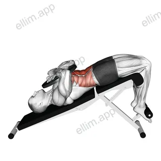 Weighted Decline Crunch exercise targeting Waist