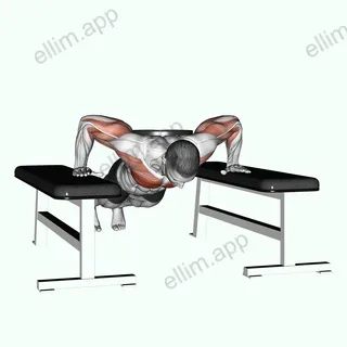 Weighted Drop Push Up exercise targeting Chest and Pectoralis Major Sternal Head