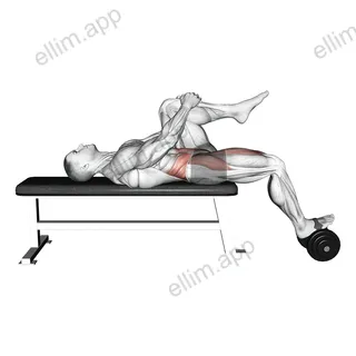 Weighted Dumbbell Lying Knee Raise exercise targeting Hips