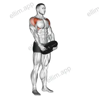 Weighted Front Raise exercise targeting Shoulders and Deltoid Anterior
