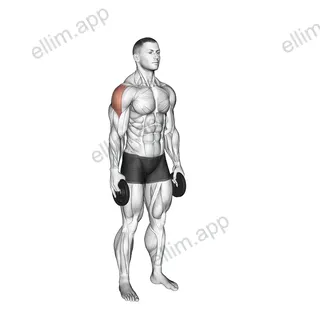Weighted Full Can Exercise exercise targeting Shoulders