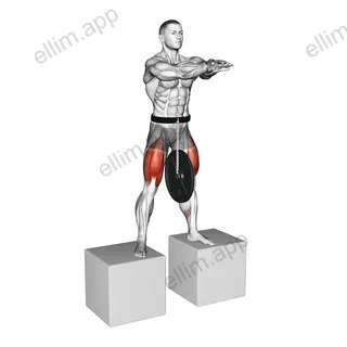 Weighted Full Squat from Deficit exercise targeting Thighs