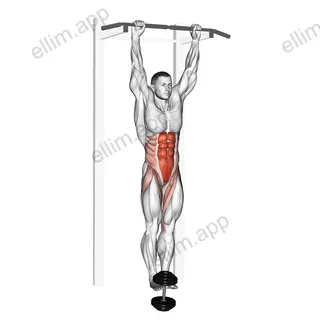 Weighted Hanging leg hip raise exercise targeting Waist