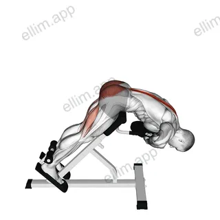 Weighted Hyperextension exercise targeting Hips and Erector Spinae