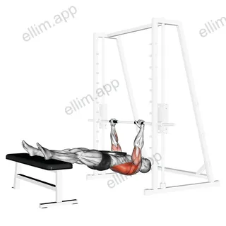 Weighted Inverted Row exercise targeting Back and Infraspinatus