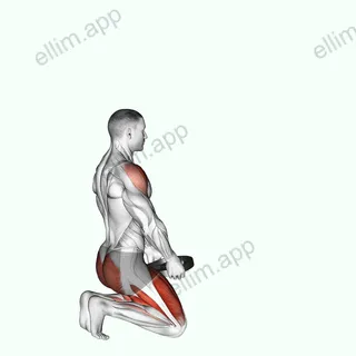 Weighted Kneeling Step with Swing exercise targeting Deltoid Anterior and Gluteus Maximus
