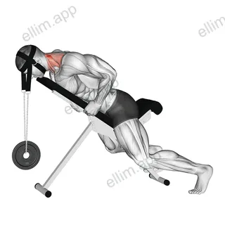 Weighted Lying Neck Extension (with head harness) exercise targeting Neck