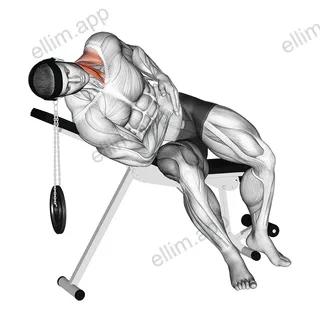 Weighted Lying Side Lifting Head with head harness exercise targeting Neck and Sternocleidomastoid