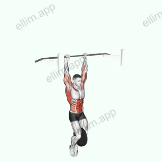 Weighted Muscle-up (on bar) exercise targeting Back
