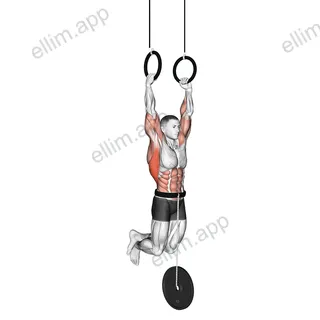Weighted Muscle-up exercise targeting Back