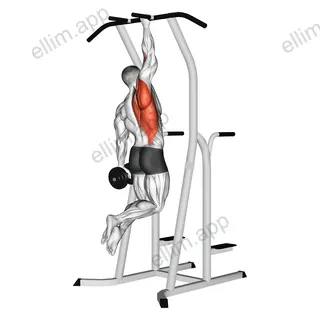 Weighted One Hand Pull-up exercise targeting Back